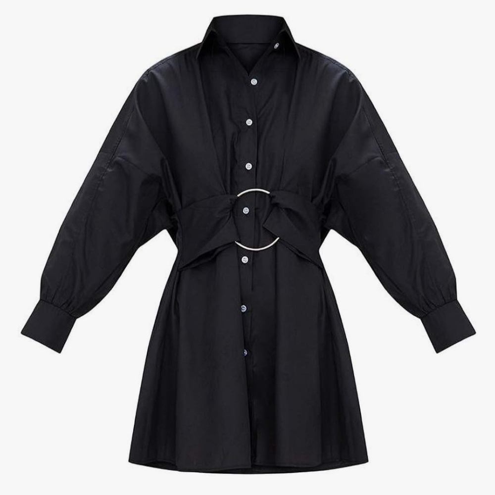 Chic Black Long Sleeve Shirt Dress